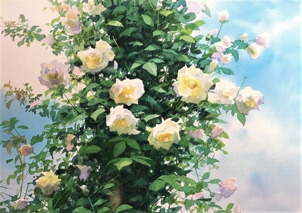 Акварели, как полёт бабочки, фото 7 Акварели, как полёт бабочки, фото 7