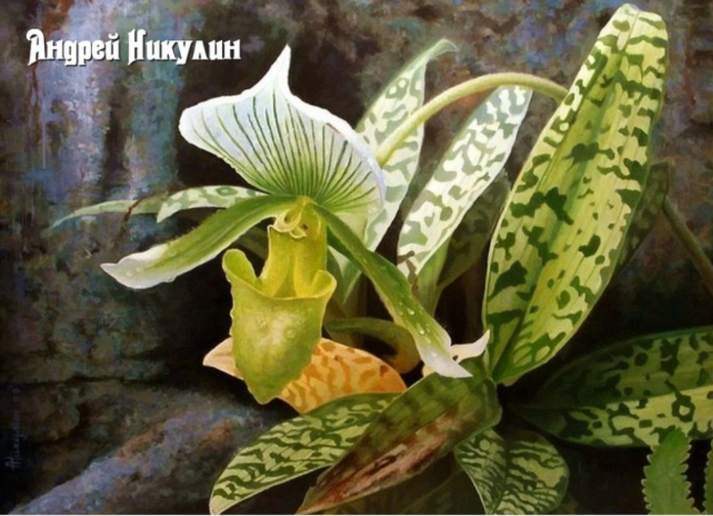 Красивые картины Андрея Никулина, фото 7 Красивые картины Андрея Никулина, фото 7