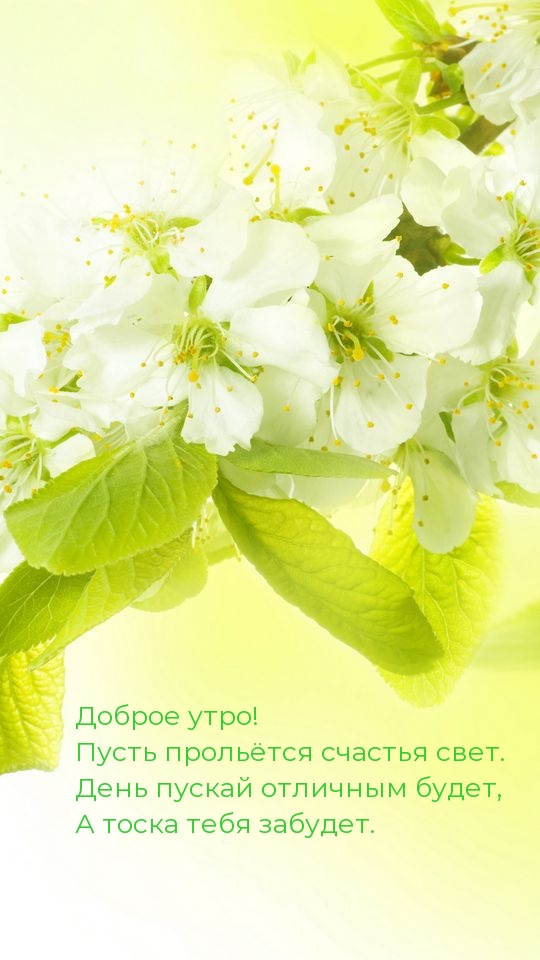 Открытки С добрым утром, фото 7 Открытки С добрым утром, фото 7