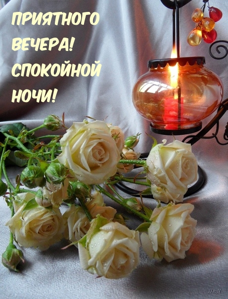 Добрый вечер, фото 7 Добрый вечер, фото 7