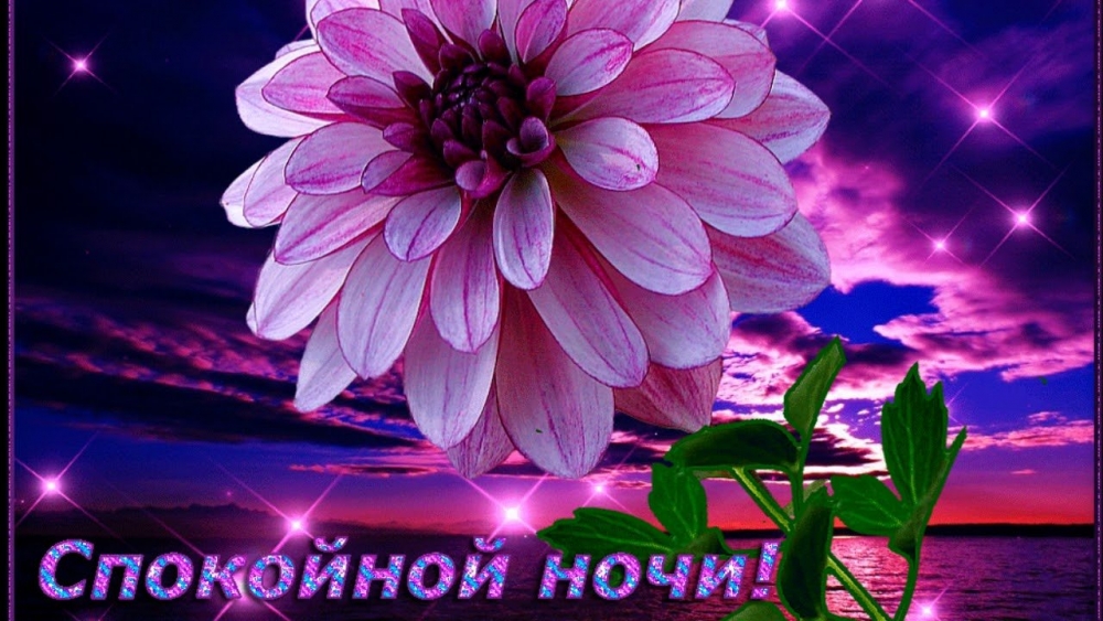 Открытки Доброй ночи, фото 7