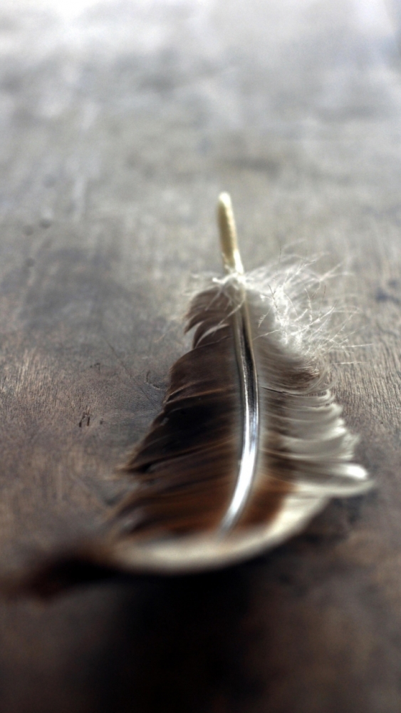 Макро обои для смартфона, фото 8 Макро обои для смартфона, фото 8