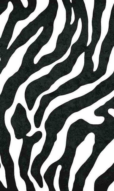 Обои в мире животных. Обои с зебрами, фото 45