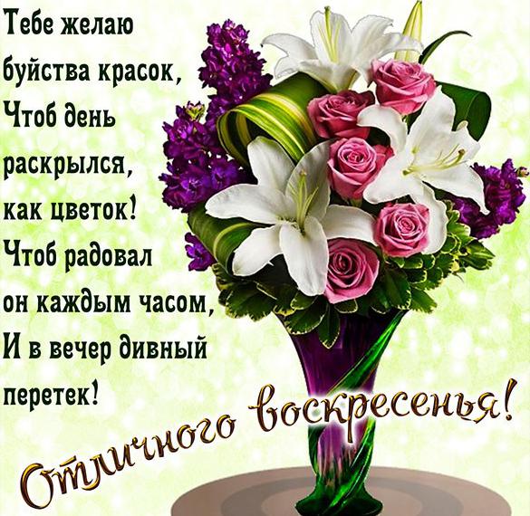 Хочу представить открытки для пожелания хорошего выходного воскресенья!, фото 16 Хочу представить открытки для пожелания хорошего выходного воскресенья!, фото 16