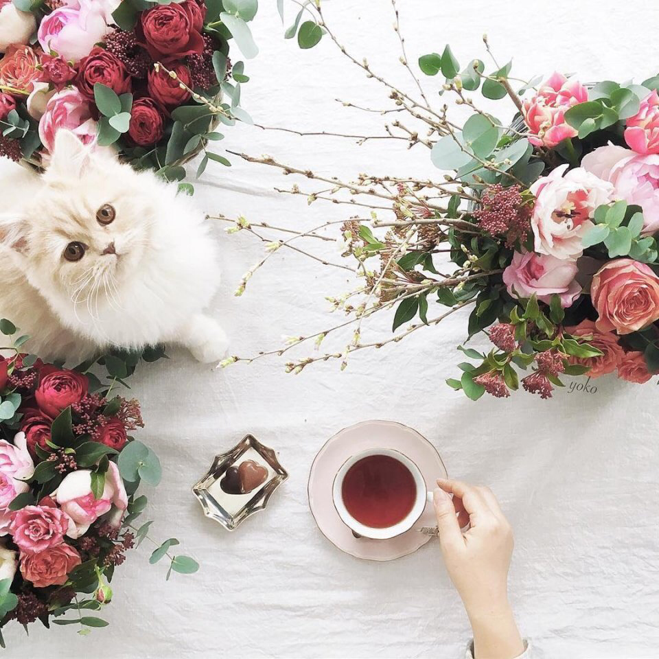 Весенние обои, фото 29 Весенние обои, фото 29