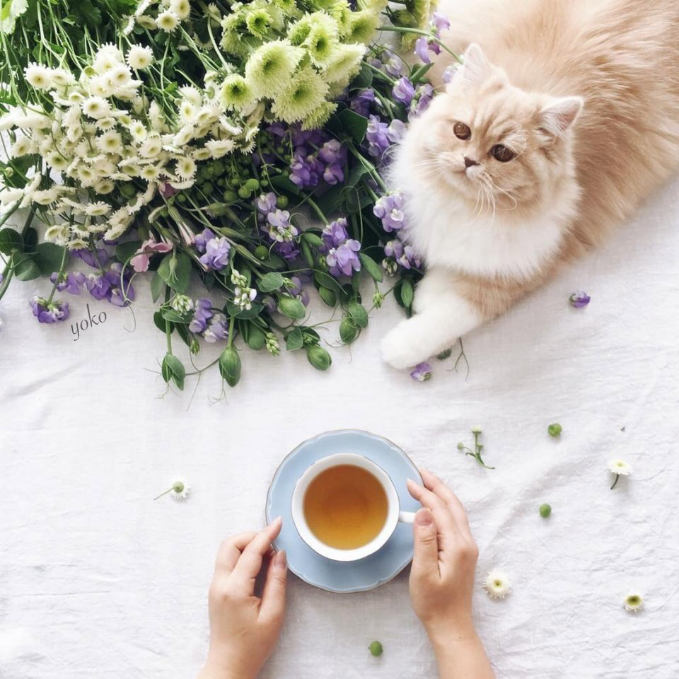 Весенние обои, фото 30 Весенние обои, фото 30