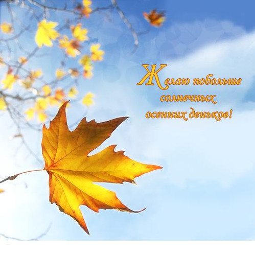 Открытки с поздравлением С началом осени, фото 8 Открытки с поздравлением С началом осени, фото 8