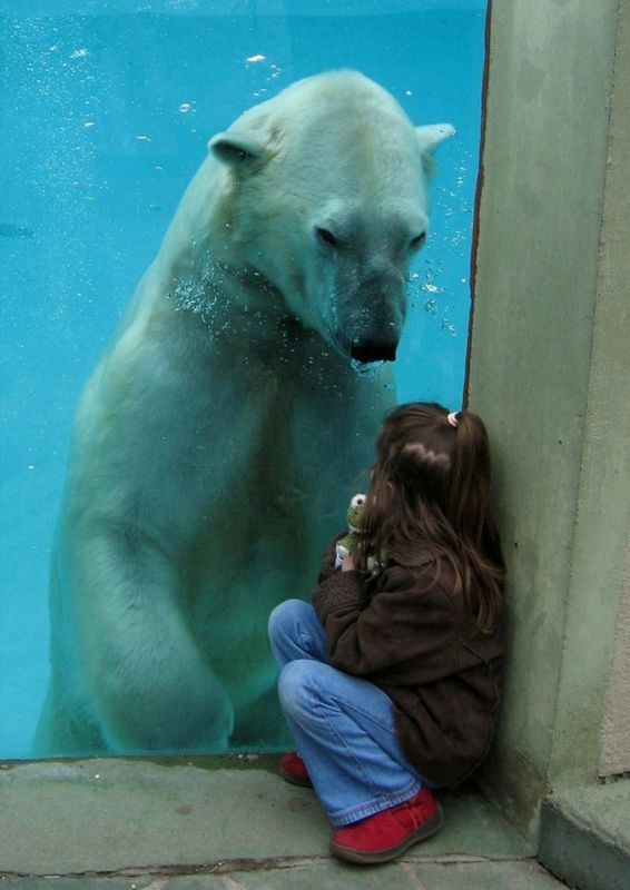 Партия смешных и милых фоток с животными, фото 18
