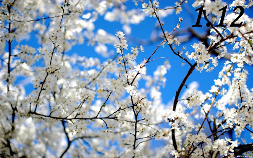 Подобранные мною пейзажи по теме Времена года, фото 6 Подобранные мною пейзажи по теме Времена года, фото 6