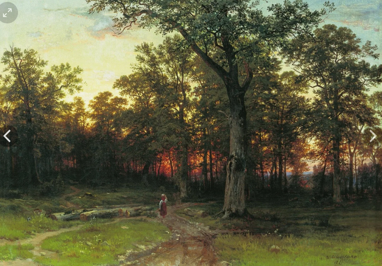 Волшебный лес Ивана Шишкина, фото 8 Волшебный лес Ивана Шишкина, фото 8