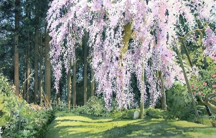 Акварели, как полёт бабочки, фото 8 Акварели, как полёт бабочки, фото 8