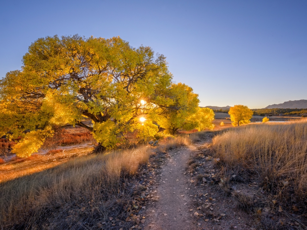 Осенние обои, фото 9 Осенние обои, фото 9