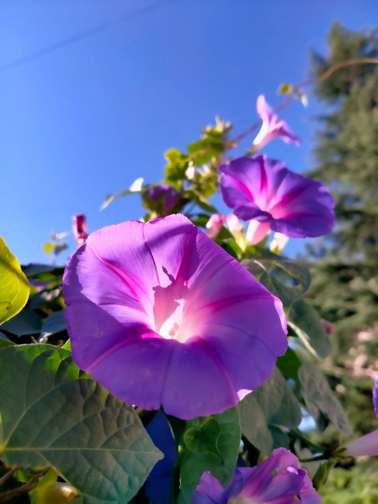 Осеннее настроение, фото 4