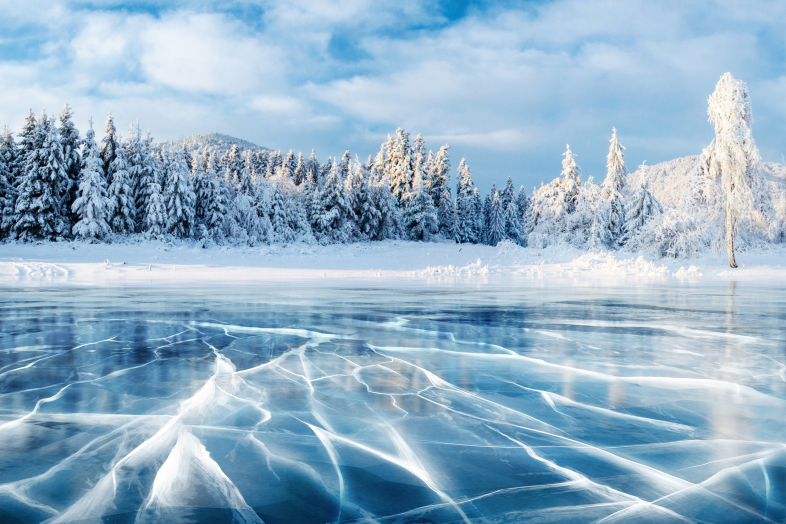 Зимняя сказка, фото 7 Зимняя сказка, фото 7