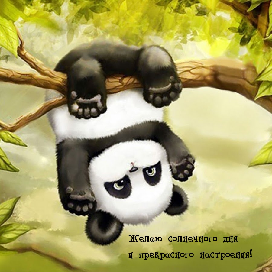 Открытки по теме хорошее настроение, фото 3 Открытки по теме хорошее настроение, фото 3