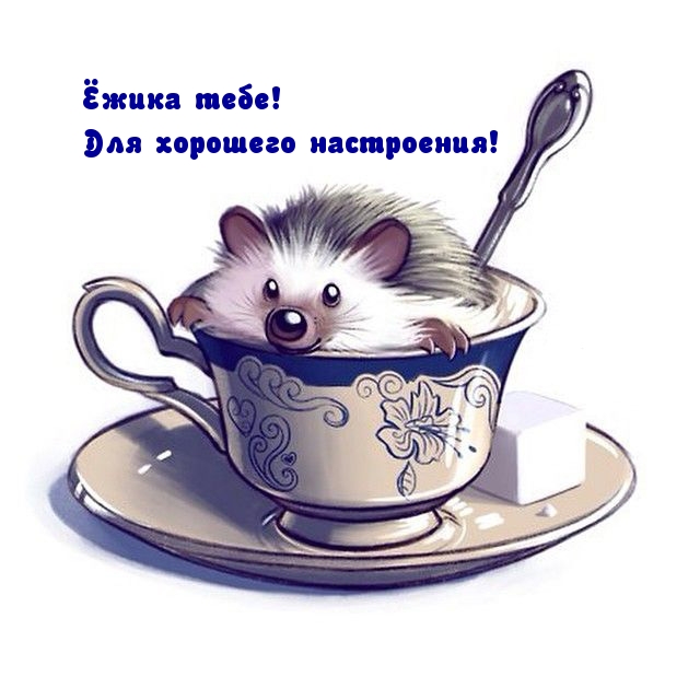 Открытки по теме хорошее настроение, фото 5 Открытки по теме хорошее настроение, фото 5