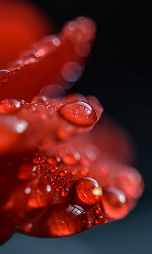 Подборка обоев для iphona 7plus. 10часть( последняя)., фото 80 Подборка обоев для iphona 7plus. 10часть( последняя)., фото 80