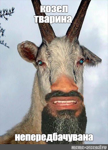 Демотиваторы про Козликофф, фото 3 Демотиваторы про Козликофф, фото 3
