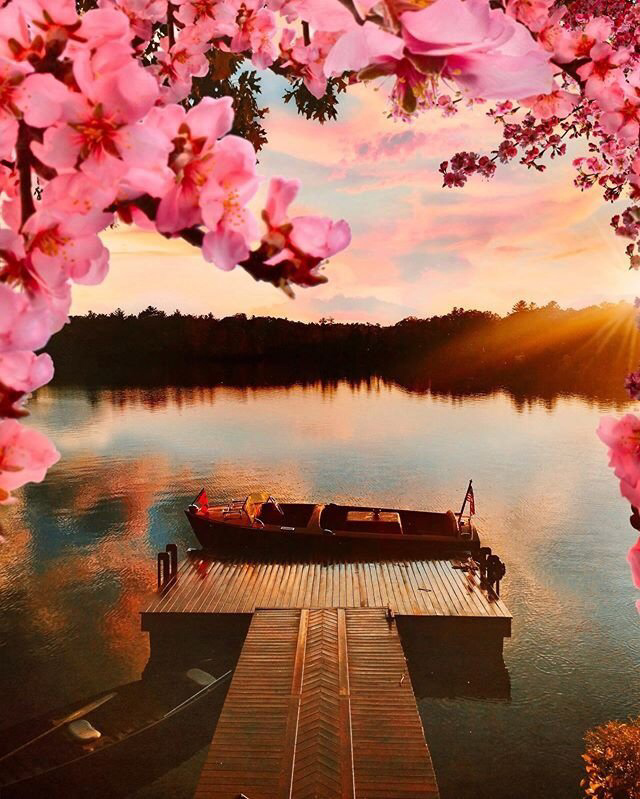 Весенние обои, фото 5 Весенние обои, фото 5