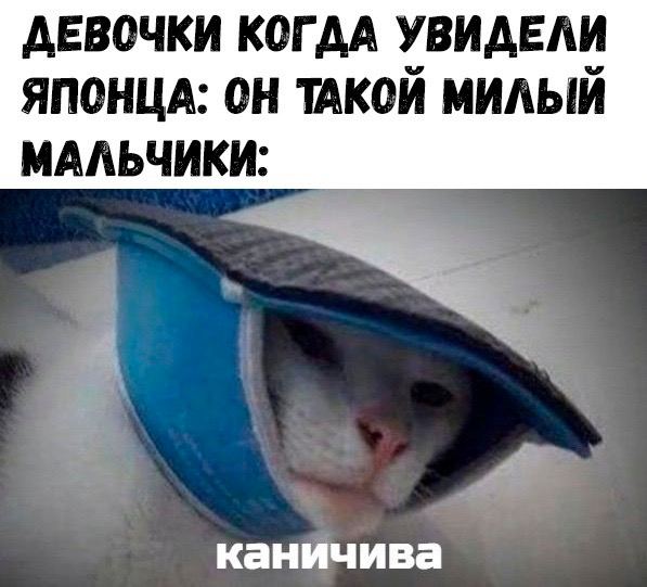 Мемы для настроения 