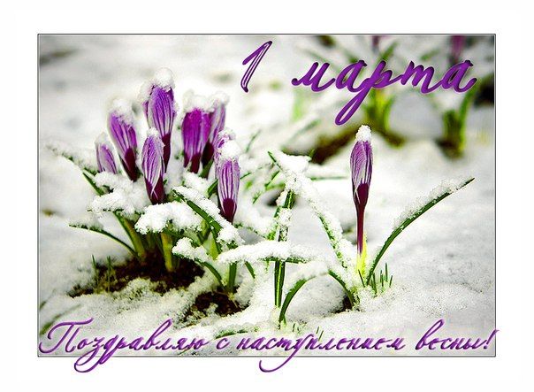 Открытки С первым днем весны, фото 14 Открытки С первым днем весны, фото 14