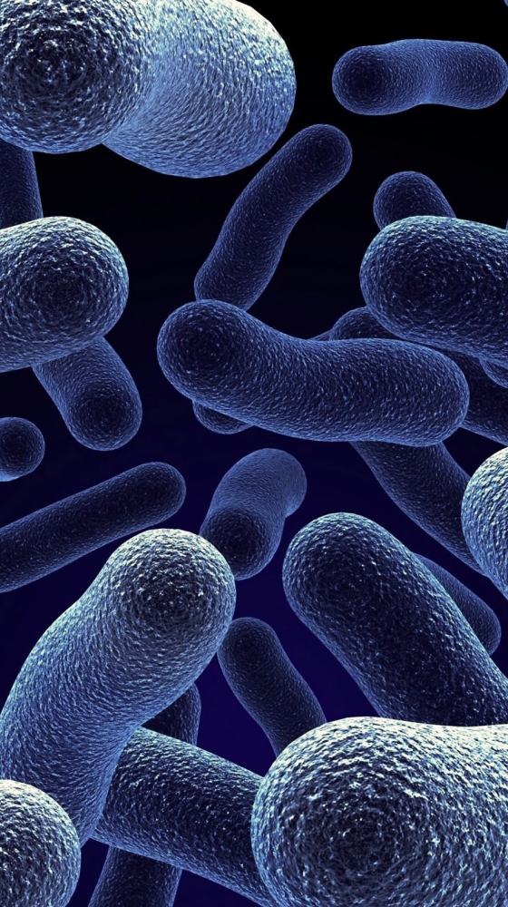 3D обои для твоего телефончика , фото 10 3D обои для твоего телефончика , фото 10