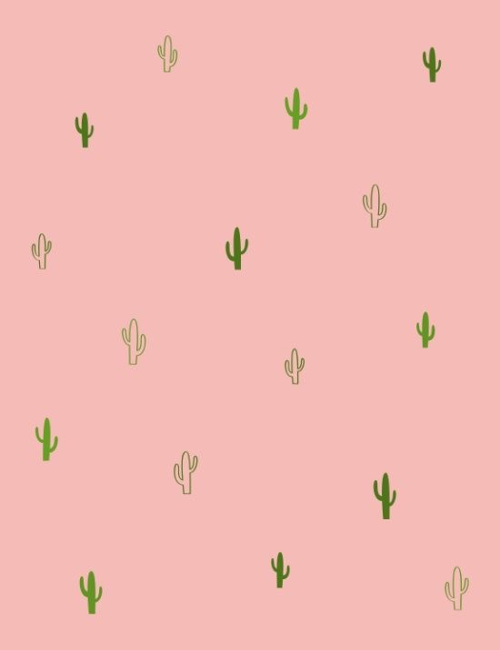 Обои с кактусами, фото 41 Обои с кактусами, фото 41