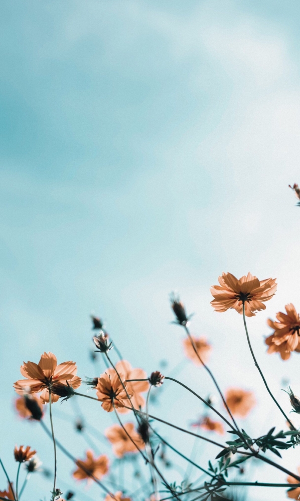 Обои на iPhone 7plus. 6 часть., фото 21 Обои на iPhone 7plus. 6 часть., фото 21