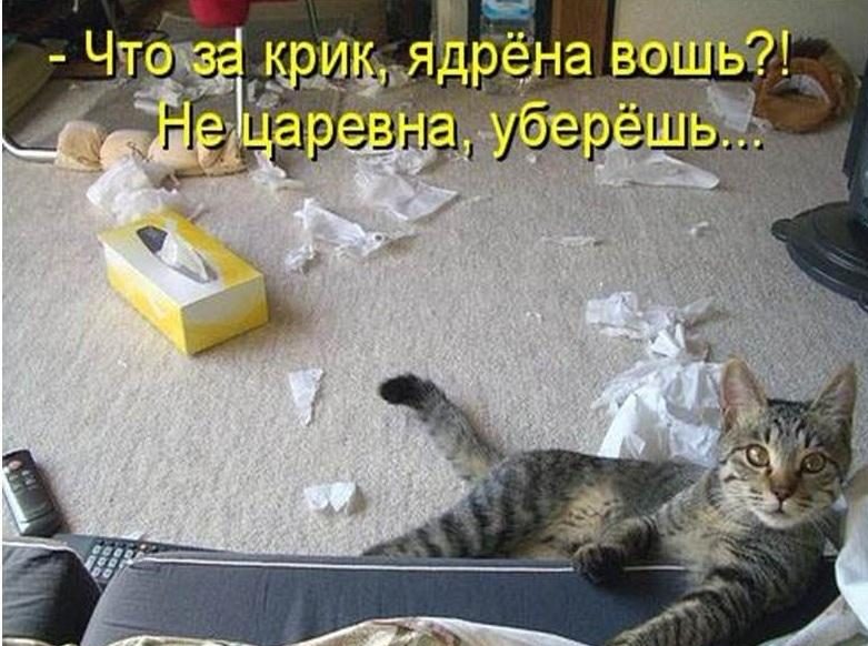 Смешные и познавательные картинки., фото 20