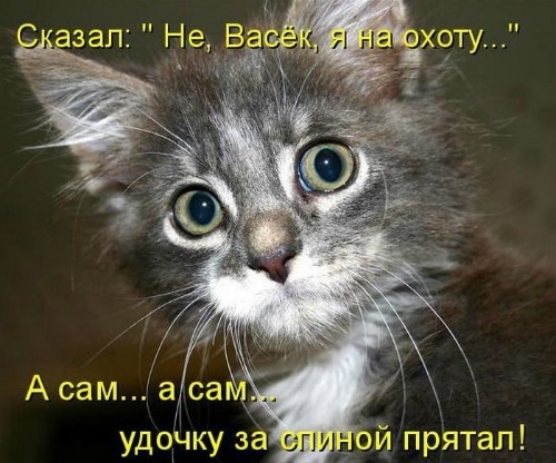 Смешные и познавательные картинки., фото 22