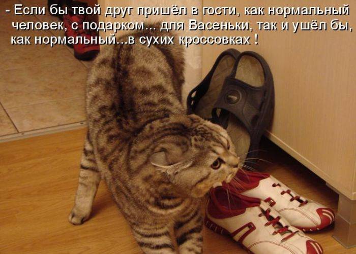 Смешные и познавательные картинки., фото 27