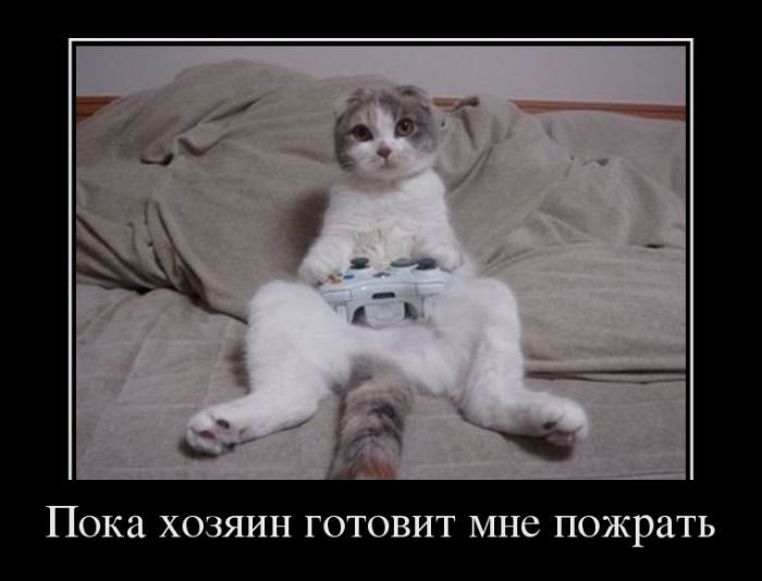 Смешные и познавательные картинки., фото 29