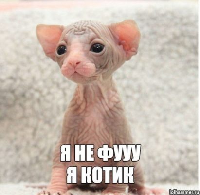 Смешные и познавательные картинки., фото 35