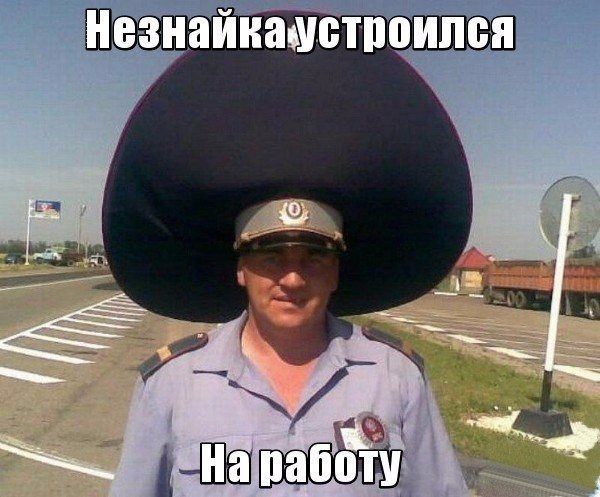 Смешные и познавательные картинки., фото 36