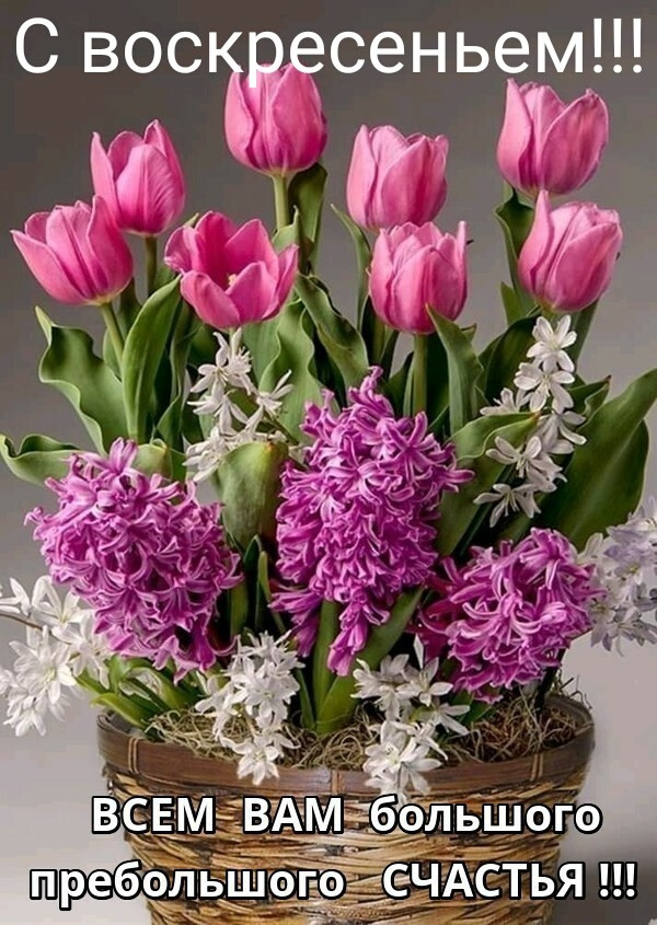 Хочу представить открытки для пожелания хорошего выходного воскресенья!, фото 2 Хочу представить открытки для пожелания хорошего выходного воскресенья!, фото 2