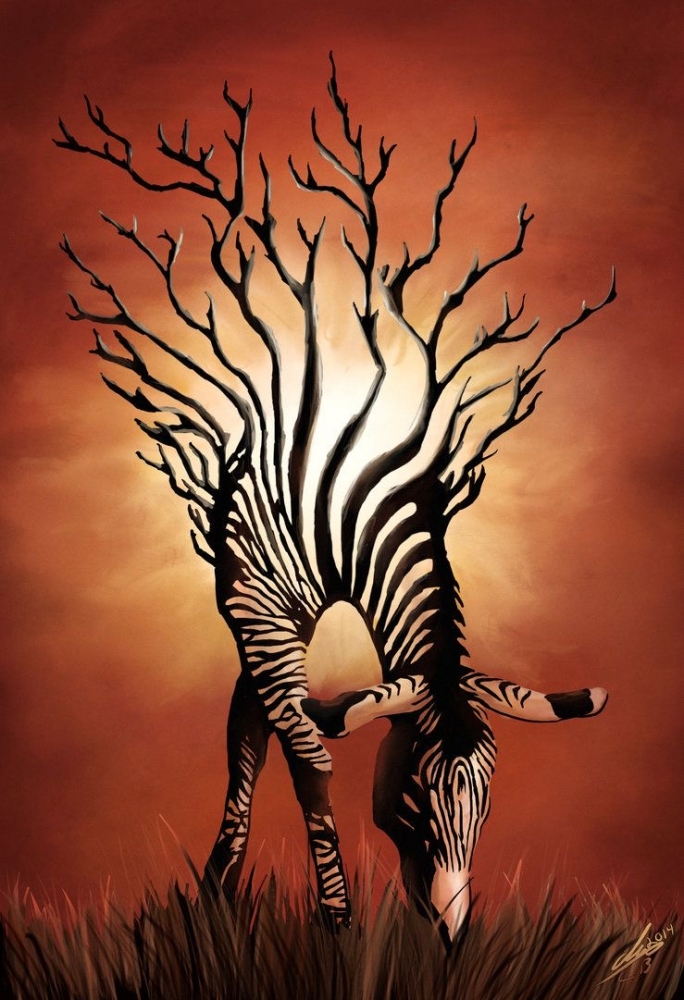 Обои в мире животных. Обои с зебрами, фото 28