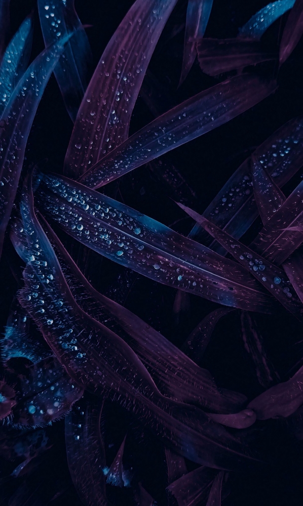 Обои для iPhone 7plus. 5 часть. , фото 10 Обои для iPhone 7plus. 5 часть. , фото 10