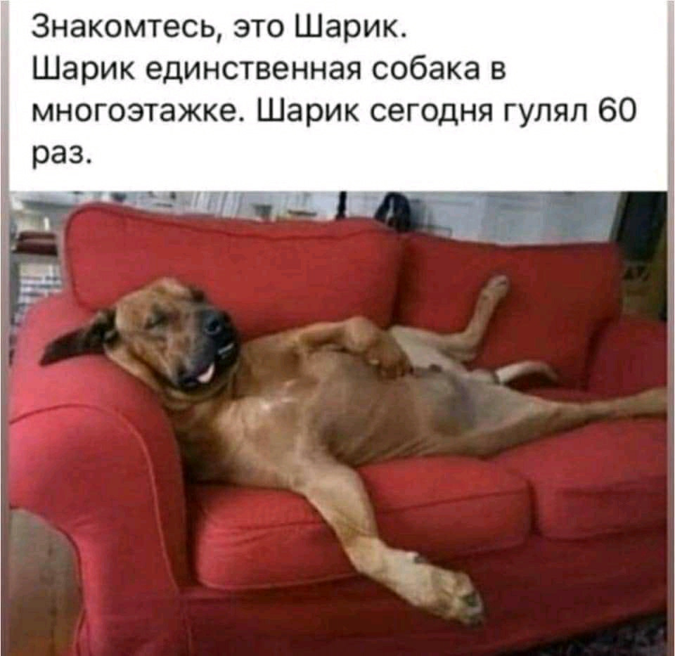 Предлагаю посмотреть на подборку шуточных картинок про короновирус, фото 13 Предлагаю посмотреть на подборку шуточных картинок про короновирус, фото 13