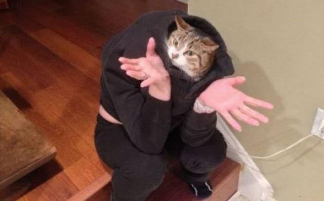 Приколы 2021 про животных!, фото 35