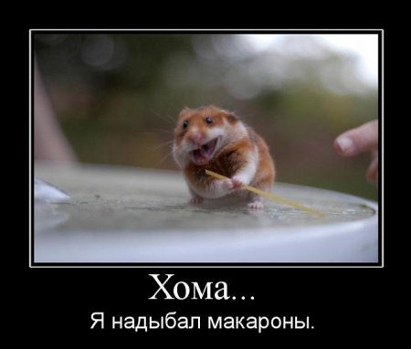 Приколы 2021 про животных!, фото 37