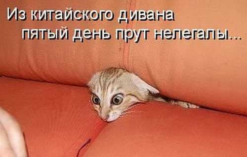 Приколы 2021 про животных!, фото 7