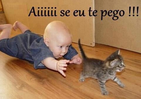 Приколы 2021 про животных!, фото 8