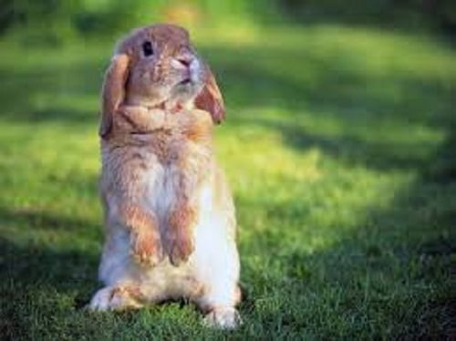 Юзерпик - картинки на аву!, фото 15