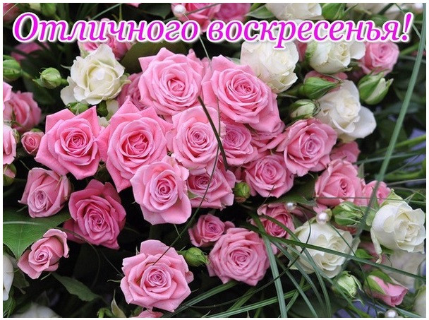 Хочу представить открытки для пожелания хорошего выходного воскресенья!, фото 3 Хочу представить открытки для пожелания хорошего выходного воскресенья!, фото 3