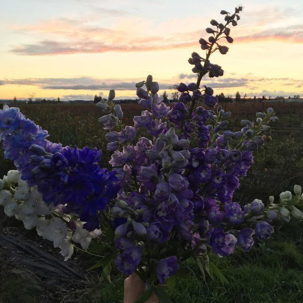 Весенние обои, фото 32 Весенние обои, фото 32