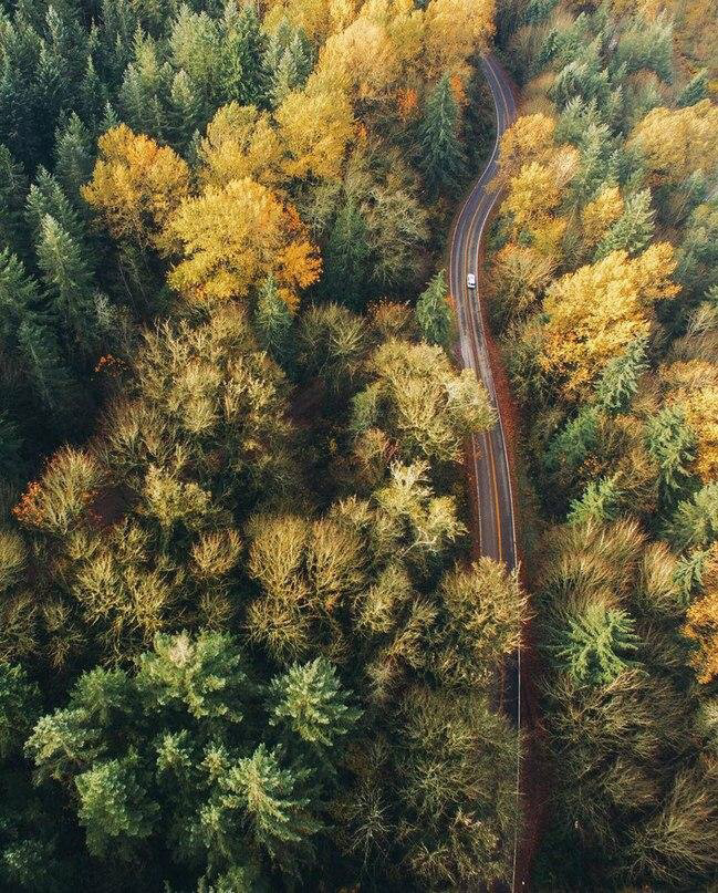 Осенние обои , фото 12 Осенние обои , фото 12