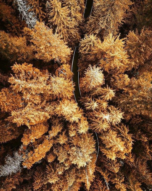 Осенние обои , фото 11 Осенние обои , фото 11