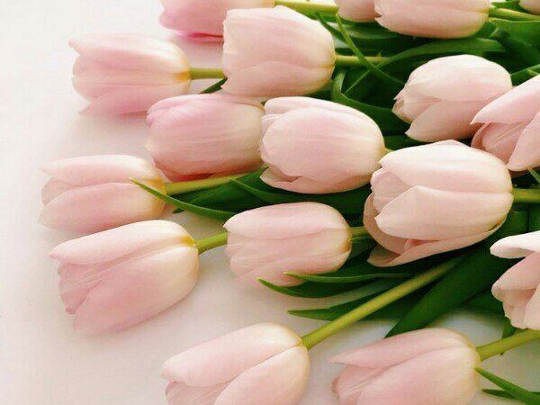 Весенние обои, фото 36 Весенние обои, фото 36