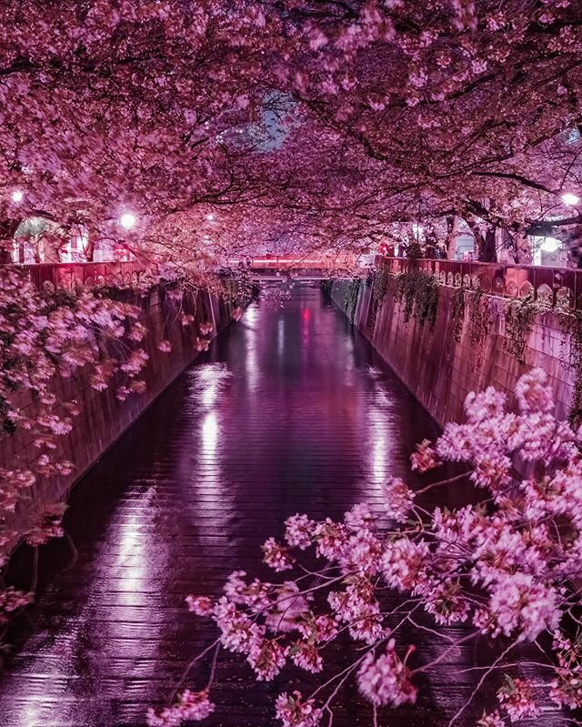 Весенние обои, фото 20 Весенние обои, фото 20