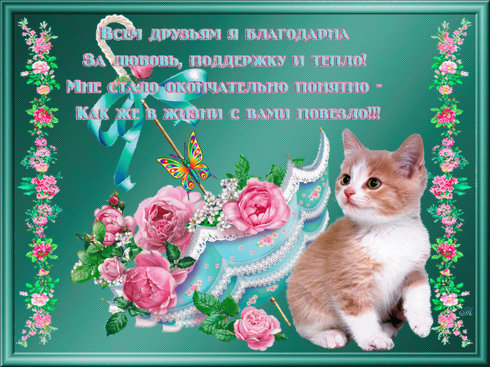 Открытки для верных друзей, фото 2 Открытки для верных друзей, фото 2